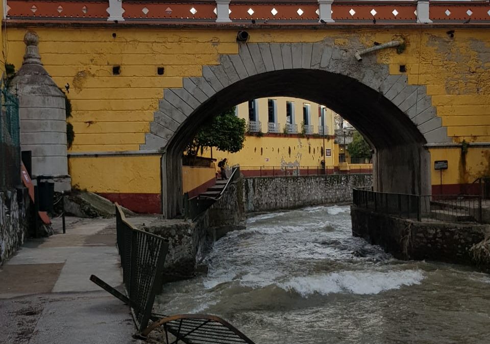 Descarta alcalde de orizaba mudar reserva animal del río.