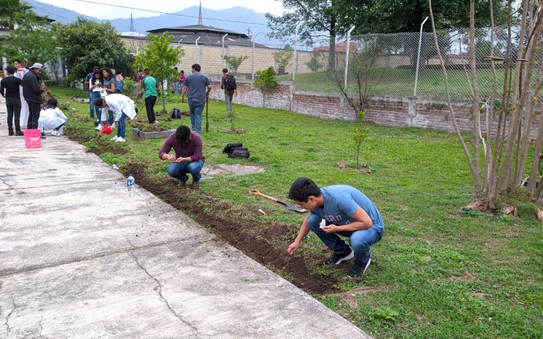 Tecnológico de Orizaba inicia proyecto de Huertos Urbanos 