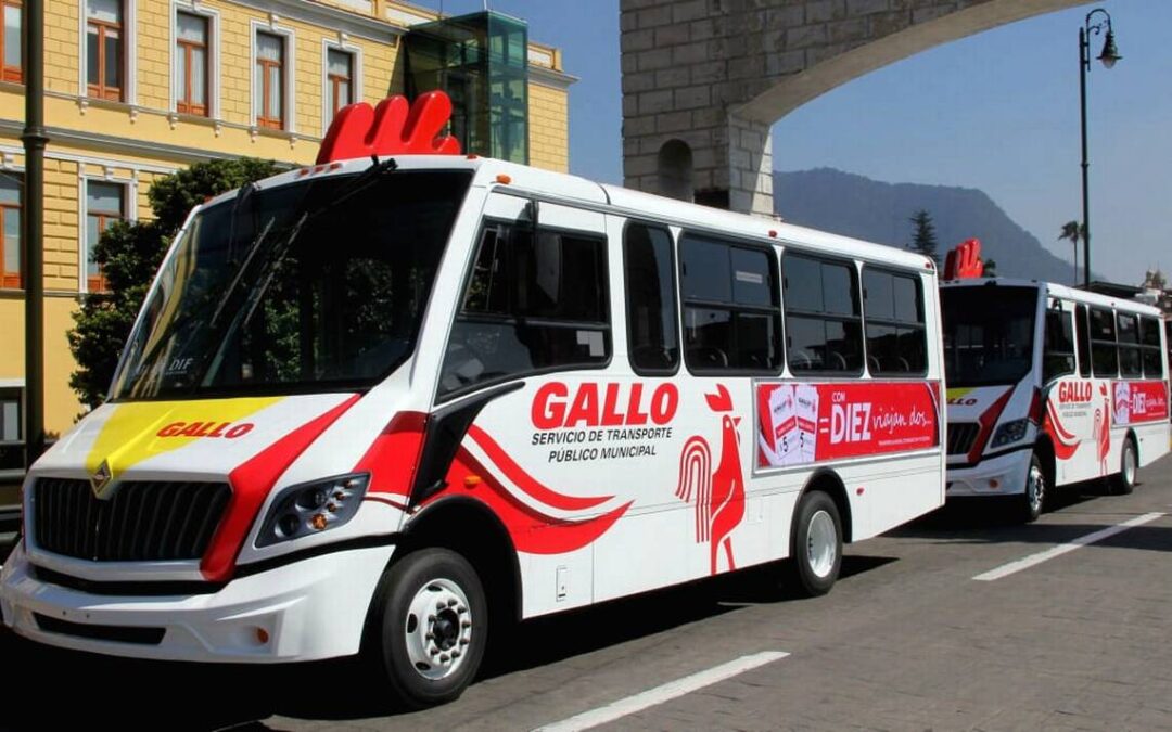 Suspenden  transporte Búho y Gallo, tome sus previsiones