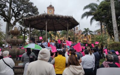 𝗠𝗮𝗻𝗶𝗳𝗶𝗲𝘀𝘁𝗼 𝗖𝗶𝘂𝗱𝗮𝗱𝗮𝗻𝗼 que leyó el joven Luis Francisco García Franco en el Parque “Castillo”