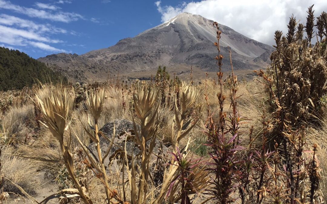 «Catastrófica» será la sequía