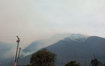 Lanza IMSS Veracruz Sur recomendaciones ante incendios forestales