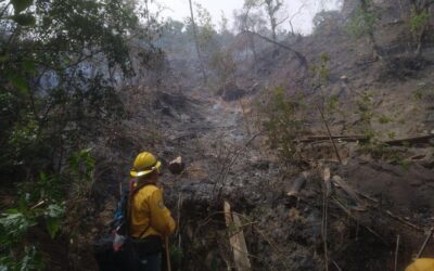 Coordina PC atención a 5 incendios forestales en el estado