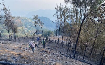 Se espera este día la liquidación total de incendio en las Altas Montañas