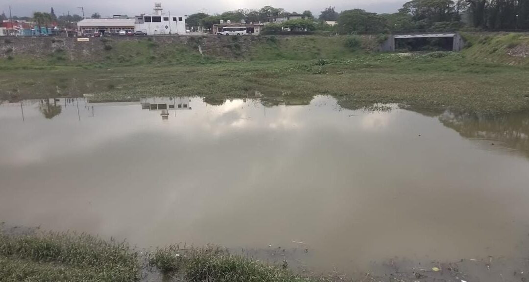 Renace laguna el Chirimoyo tras las lluvias