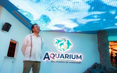 Esto es lo que encontró el gobernador Cuitláhuac García Jiménez al acudir al Aquarium del Puerto de Veracruz