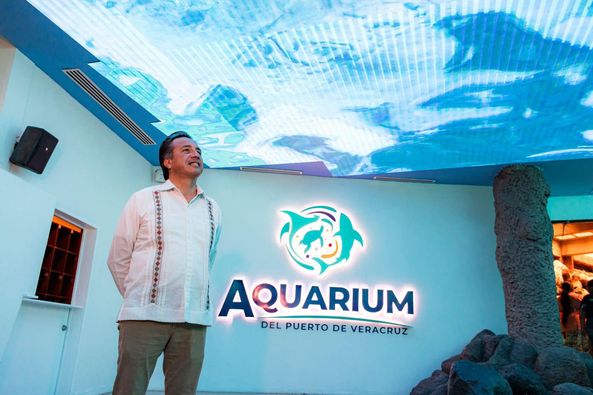 Esto es lo que encontró el gobernador Cuitláhuac García Jiménez al acudir al Aquarium del Puerto de Veracruz